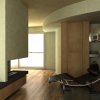 20110331_Arcese Camera03